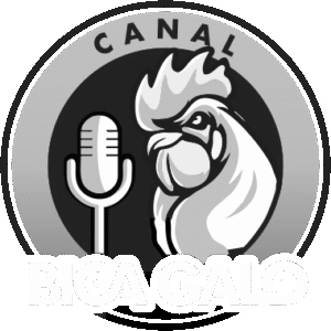 bica galo