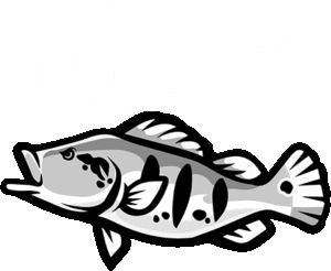 ffc
